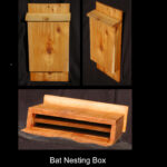 bat-box collage